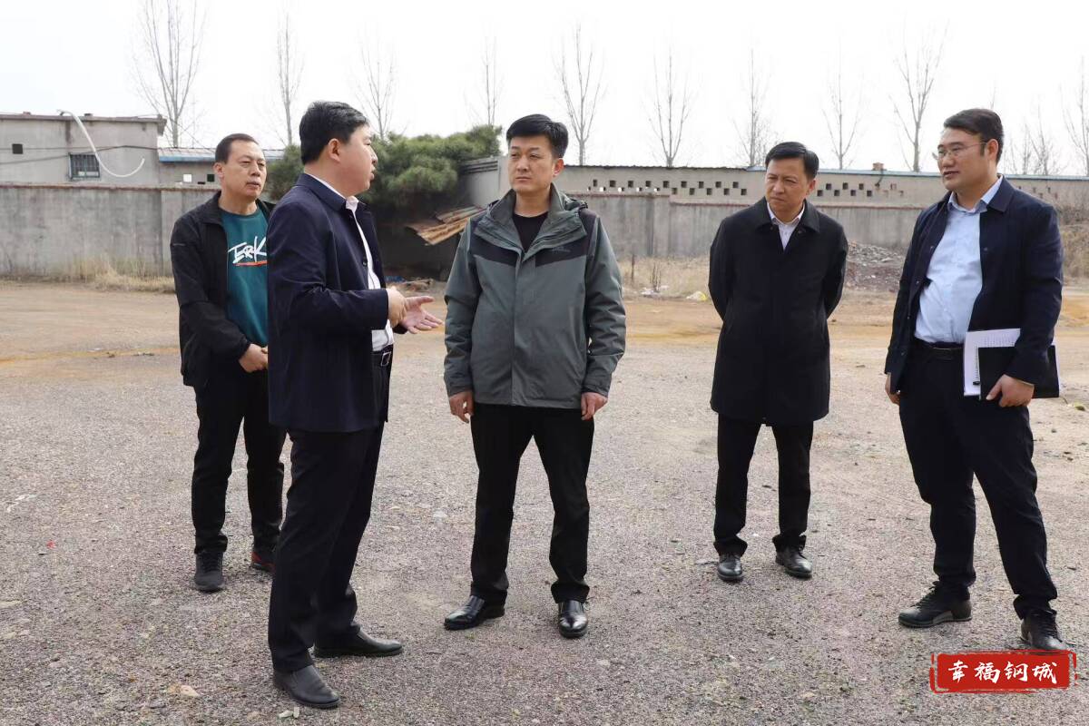 程学锋调研耕地保护等工作情况