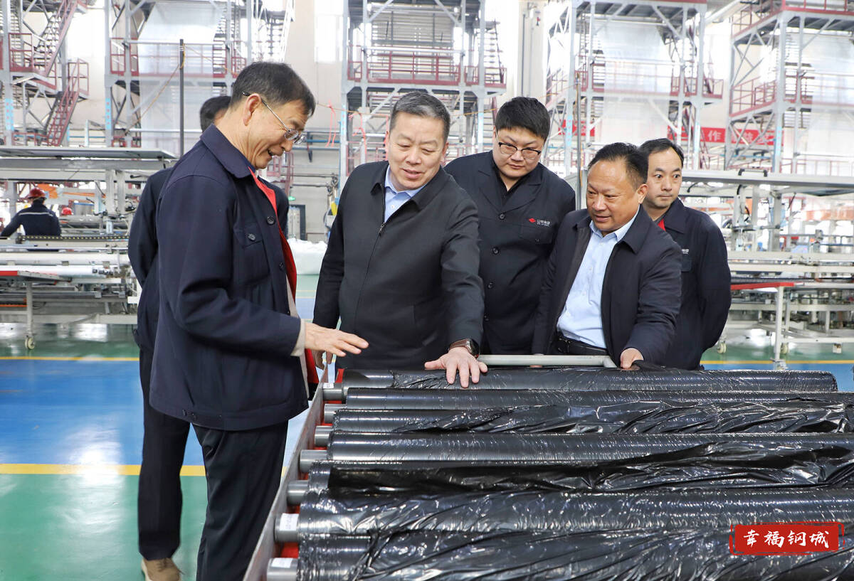 翟立波到里辛街道调研并走访重点企业