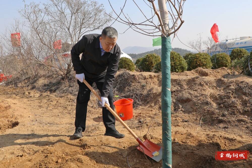不负春光添新绿 钢城区领导干部参加义务植树活动