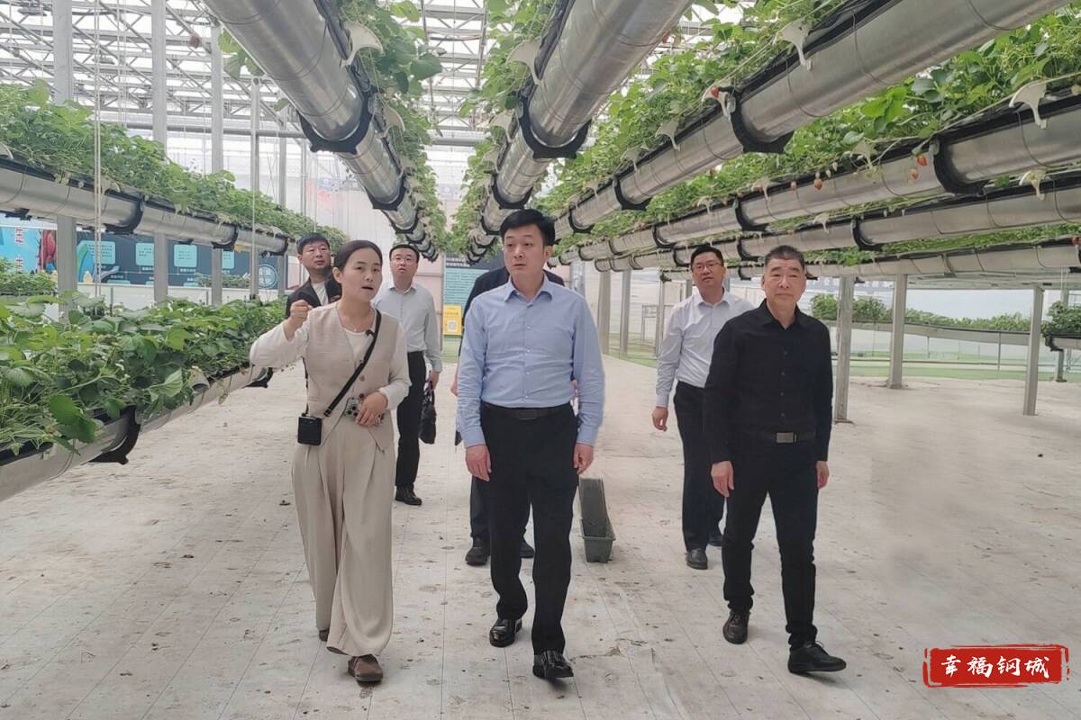 程学锋带队到临沂市考察洽谈招商引资项目