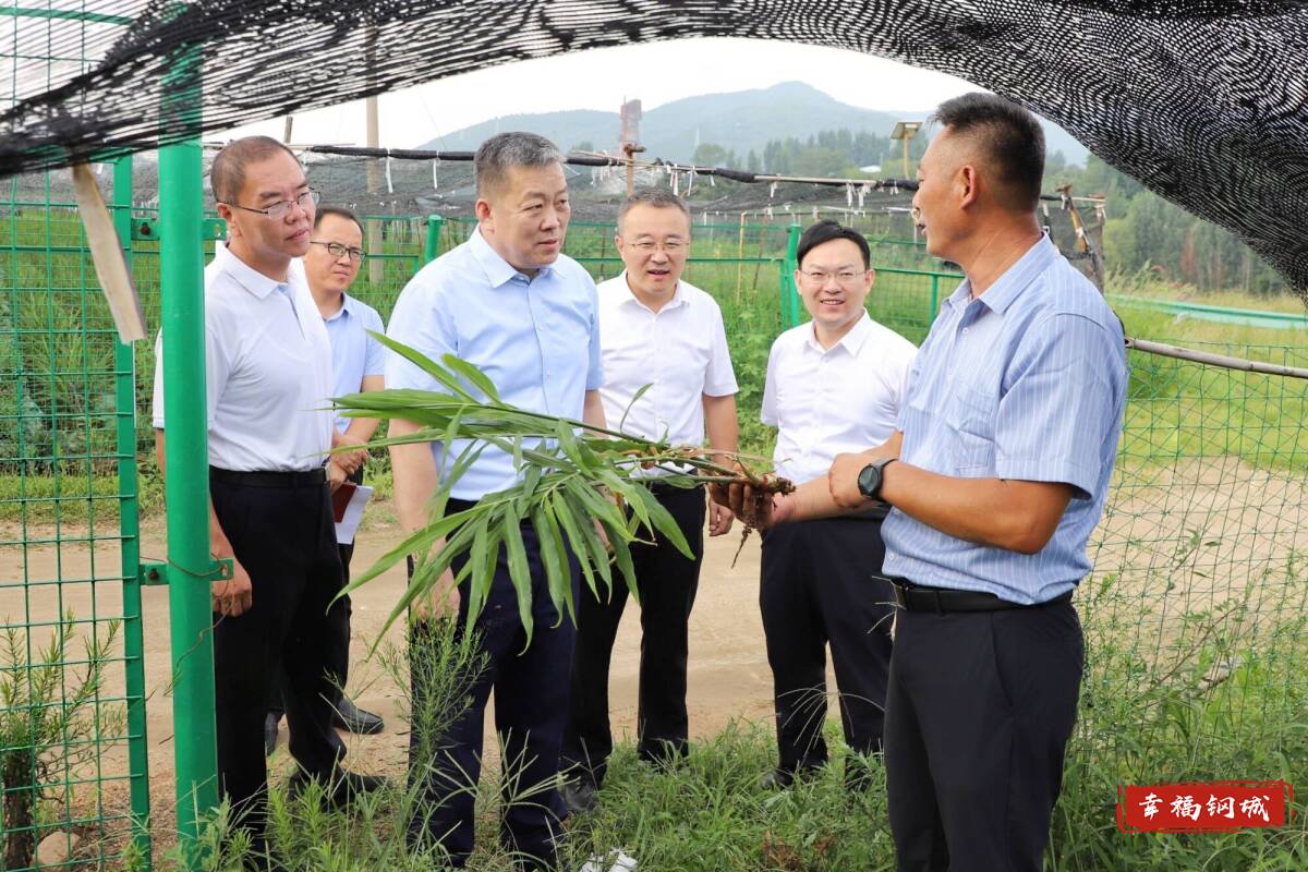 翟立波到颜庄街道调研
