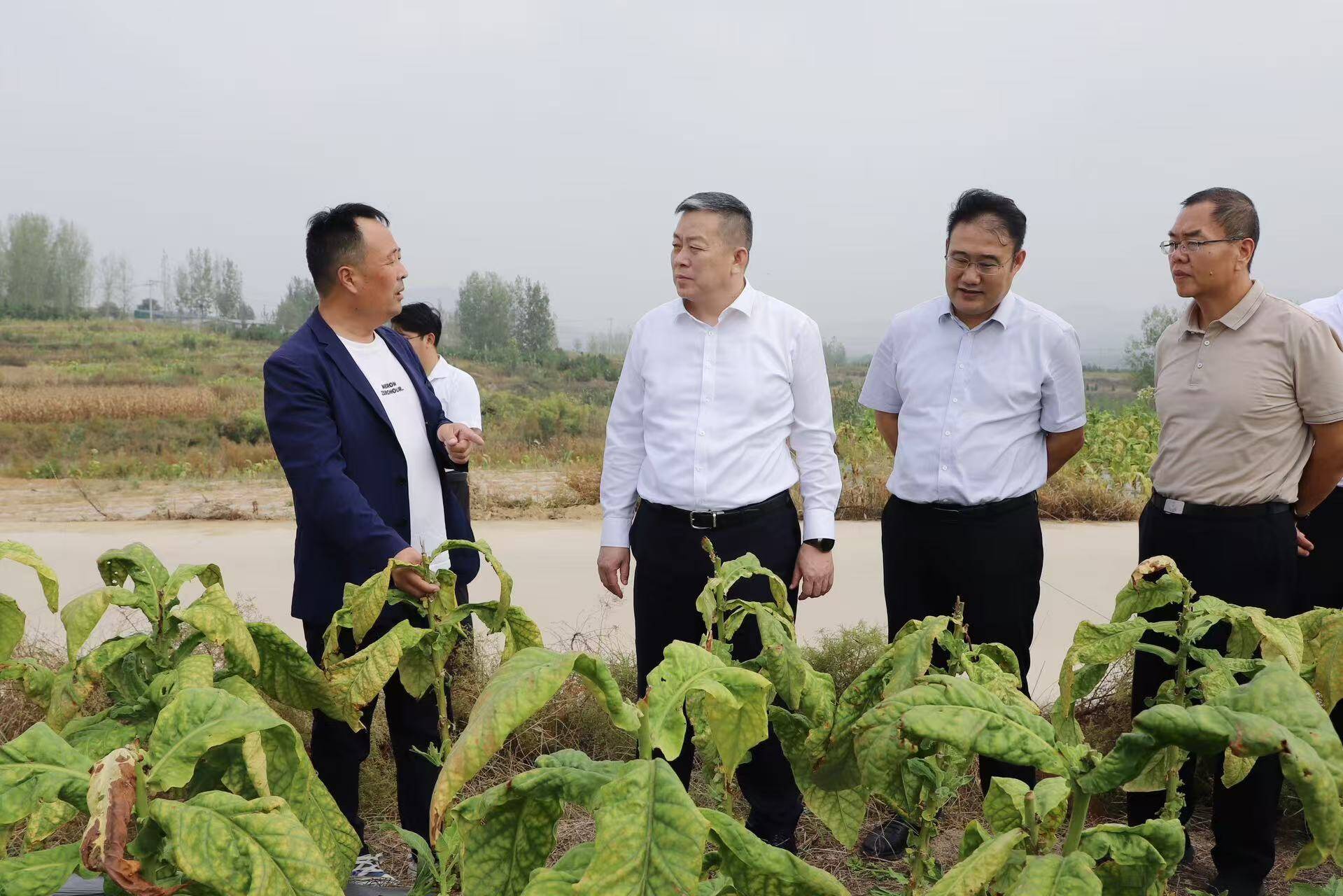 翟立波到辛庄街道调研