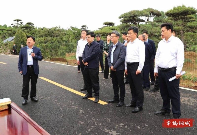 济南市基层卫生健康工作会暨乡村医疗卫生服务能力提质提效三年行动现场推进会在钢城召开