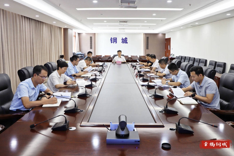 全区生态环境专题会议暨水环境分析视频会议召开